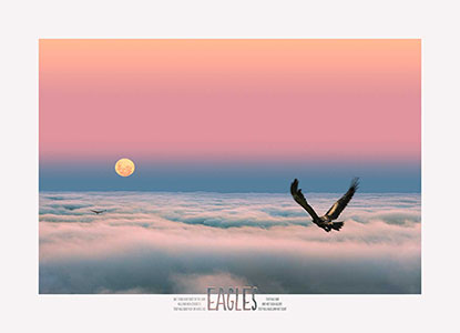 Eagle flies toward moon above low clouds at sunset. Button for Eagle Gallery.